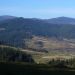 Dolina