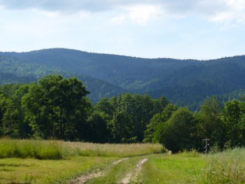 Droga przez pola