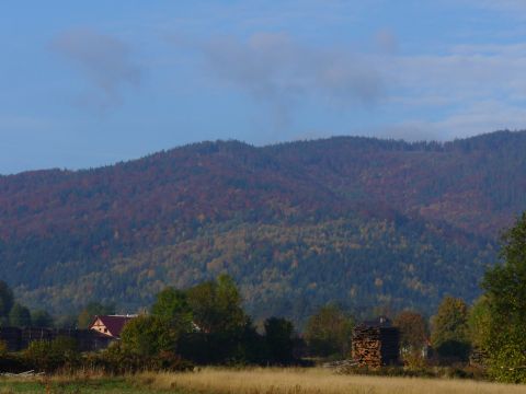 Jesień