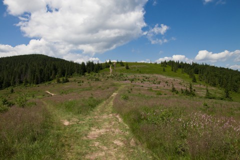 Kucałowa Przełęcz