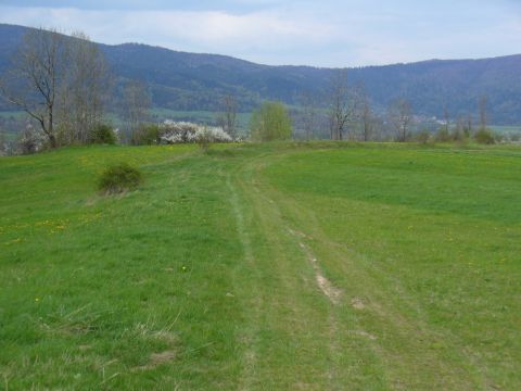Wiosna