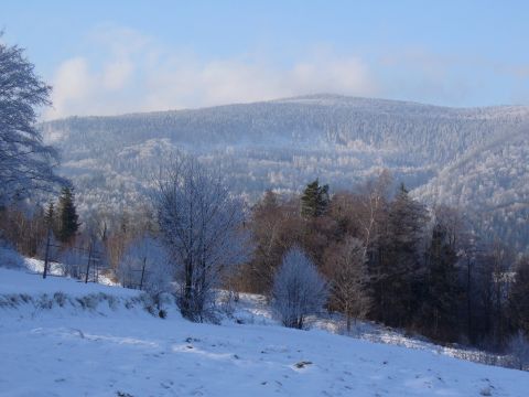 Zima w pełni